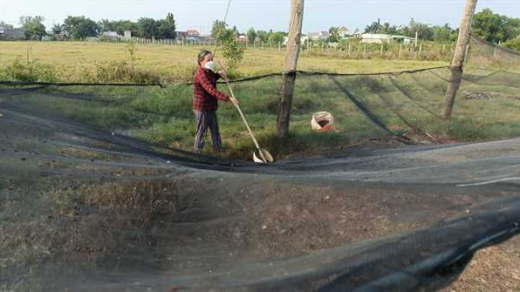 Raising animals “sleeping in the sky”, farmers collect excrement and sell it expensive