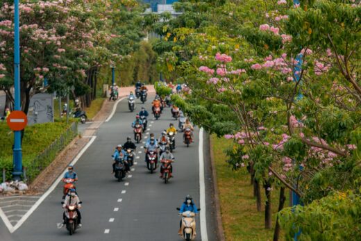 Early blooming pink lily season in Ho Chi Minh City