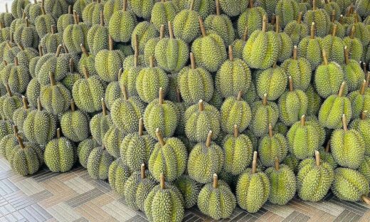 Durian among world's worst rated tropical fruits: TasteAtlas