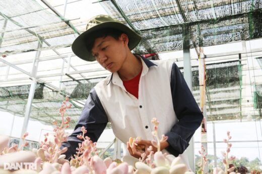 Leaving the city to return to his hometown to grow succulents, the young Dak Nong earns hundreds of millions of dollars a month