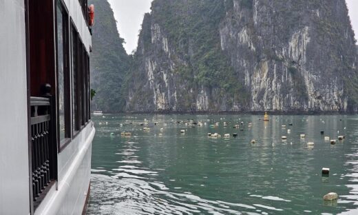 Tourists complain as trash washes up in Ha Long Bay