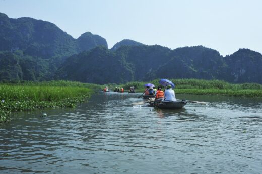 Explore Van Long Lagoon – where the famous movie Kong: Skull Island was filmed in Ninh Binh
