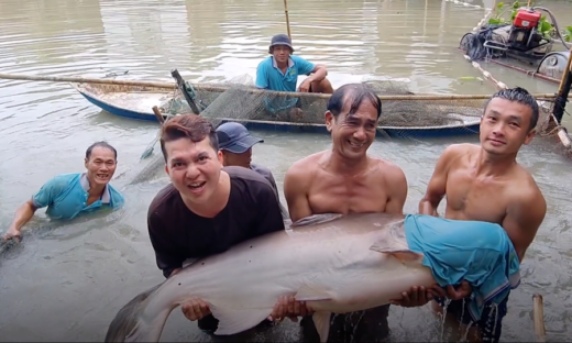 Can Tho family keeps a pond of Mekong giant catfish