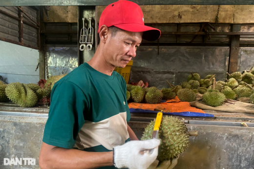 Unique profession of listening to the sound, smelling the durian makes millions every day