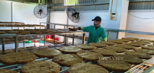 Making giant fish cakes, fragrant throughout the village, the boss collects billions