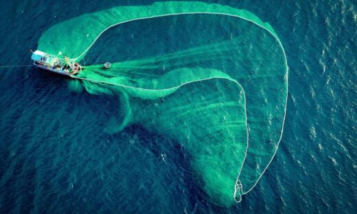 Photo of dolphin-shaped fishing net in Phu Yen wins $10,000 prize