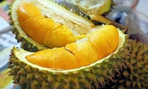Chinese tourist escapes fine after eating durian in Singapore hotel room
