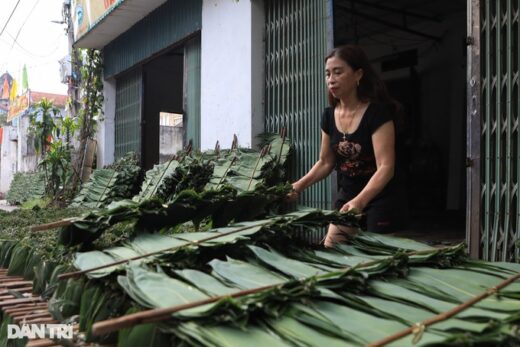 Make billions from exporting… bamboo leaves
