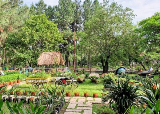 Dinh Hoa Garden – ‘miniature Da Lat’ is beautiful and poetic in Binh Duong