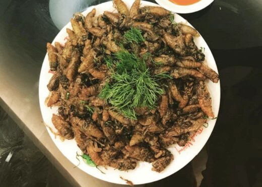 Enjoy the specialty of deep-fried cicadas, a unique dish in Binh Phuoc