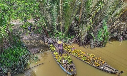 Thai experts assist Mekong Delta province in community-based tourism development