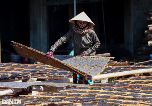 A place where women heat the kitchen and dry in the sun to create cakes that bring in 4.5 billion VND each year
