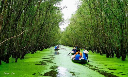 Poor infrastructure hinders Mekong Delta tourism development: experts