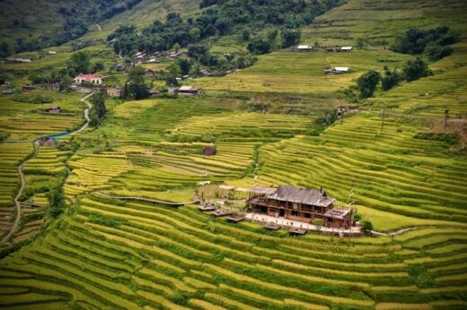 Save these cafes with beautiful rice field views in Sapa