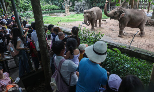 Holiday crowds pack Hanoi tourist spots, Saigon zoo