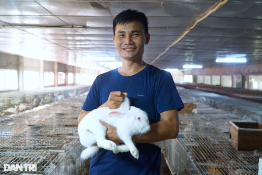 Raising “difficult” animals, the mountain boy earns 200 million VND per year