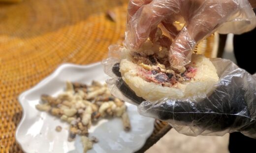 Ground bee pupae pickled with black canarium – a cold day dish in Dien Bien