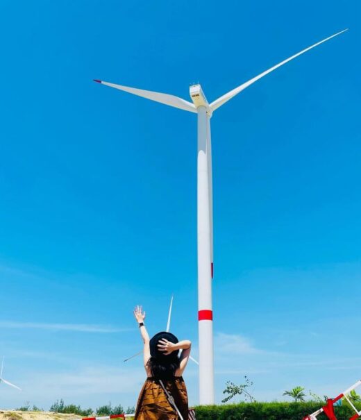 Phuong Mai wind power field is as beautiful as a movie, a virtual living festival that cannot be missed