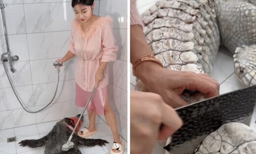 Chinese food vlogger criticized for cooking 90-kg alligator
