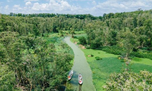 Tra Su cajuput forest: southern Vietnam's eco-tourism gem